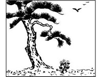 DSGN2076.jpg