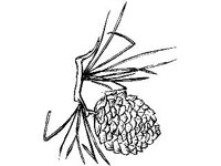 DSGN2073.jpg