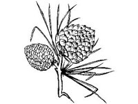 DSGN2072.jpg