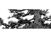 DSGN2065.jpg