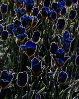 ART0694.jpg