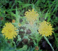 ART0693.jpg