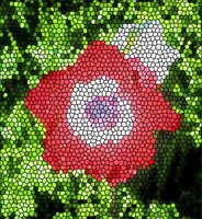 ART0684.jpg