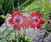 ART0679.jpg