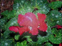 ART0676.jpg