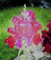 ART0675.jpg