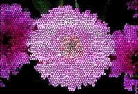 ART0673.jpg