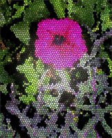 ART0669.jpg
