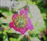 ART0658.jpg