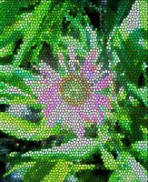 ART0657.jpg