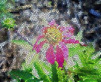 ART0656.jpg