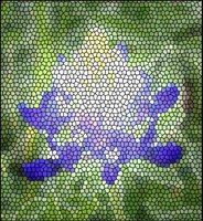 ART0655.jpg