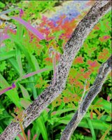 ART0652.jpg