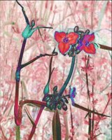 ART0651.jpg