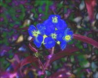 ART0649.jpg