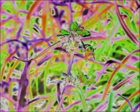 ART0647.jpg
