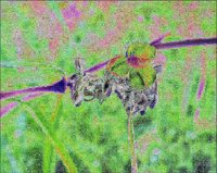 ART0646.jpg