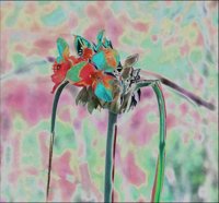 ART0645.jpg