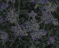ART0636.jpg