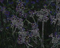 ART0635.jpg