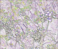 ART0634.jpg