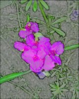 ART0632.jpg