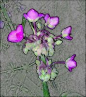 ART0631.jpg