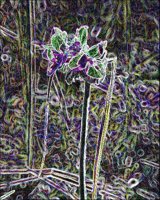 ART0630.jpg