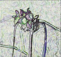 ART0628.jpg