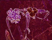 ART0626.jpg