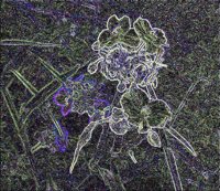 ART0624.jpg