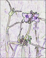 ART0623.jpg