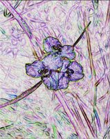 ART0621.jpg