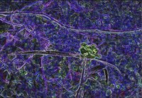 ART0619.jpg