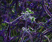 ART0617.jpg