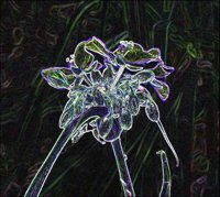 ART0616.jpg