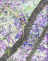 ART0615.jpg
