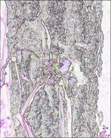 ART0614.jpg