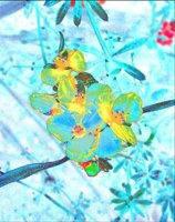 ART0613.jpg
