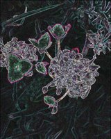 ART0610.jpg