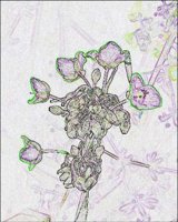 ART0608.jpg