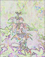 ART0606.jpg
