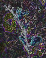 ART0604.jpg