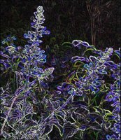 ART0601.jpg