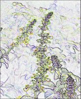 ART0600.jpg