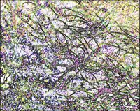 ART0598.jpg