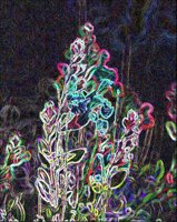 ART0597.jpg