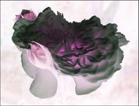 ART0596.jpg