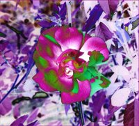 ART0590.jpg