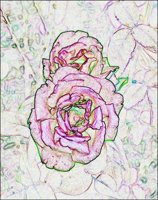 ART0586.jpg